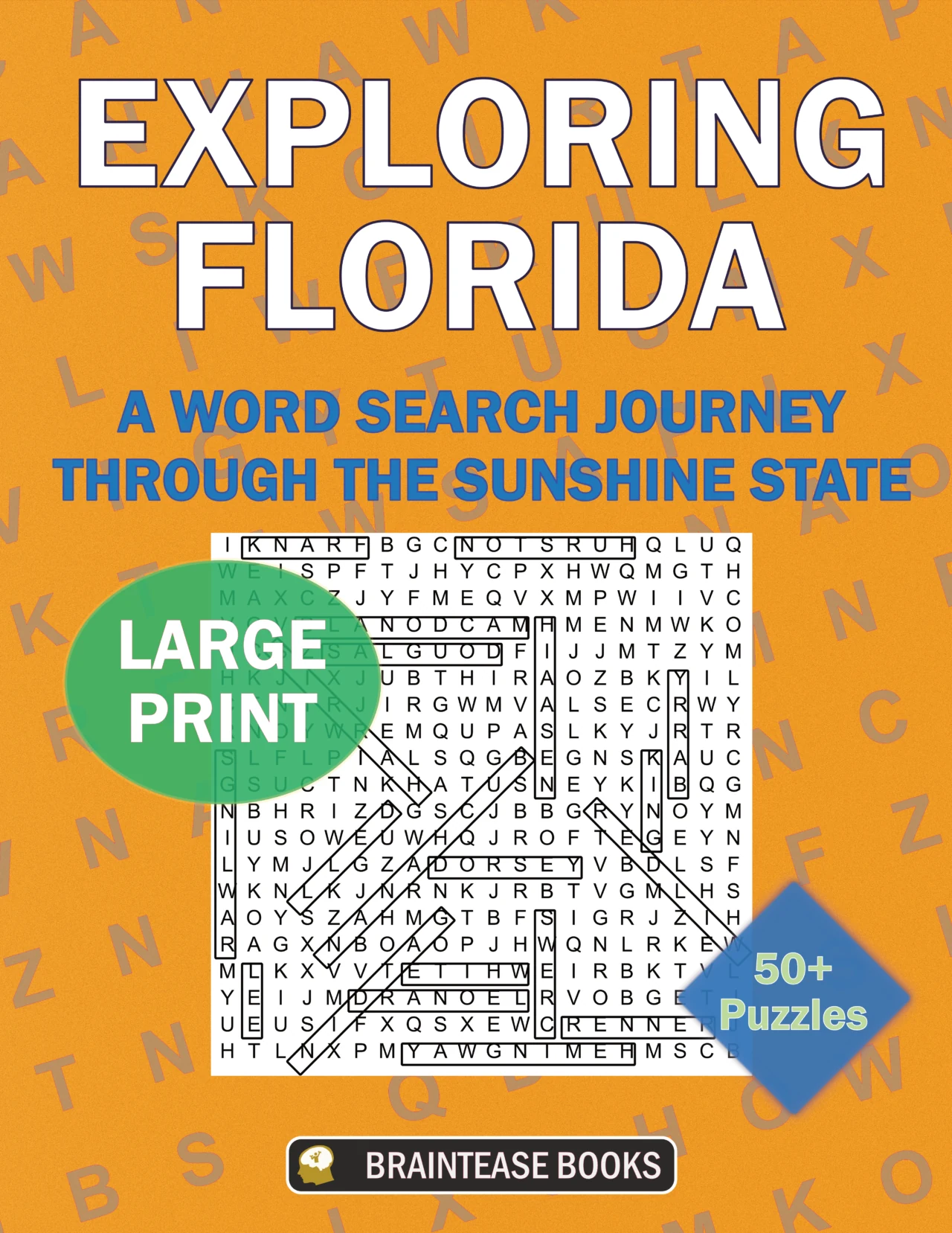 Cover of Exploring Florida: A Word Search Journey through the Sunshine State